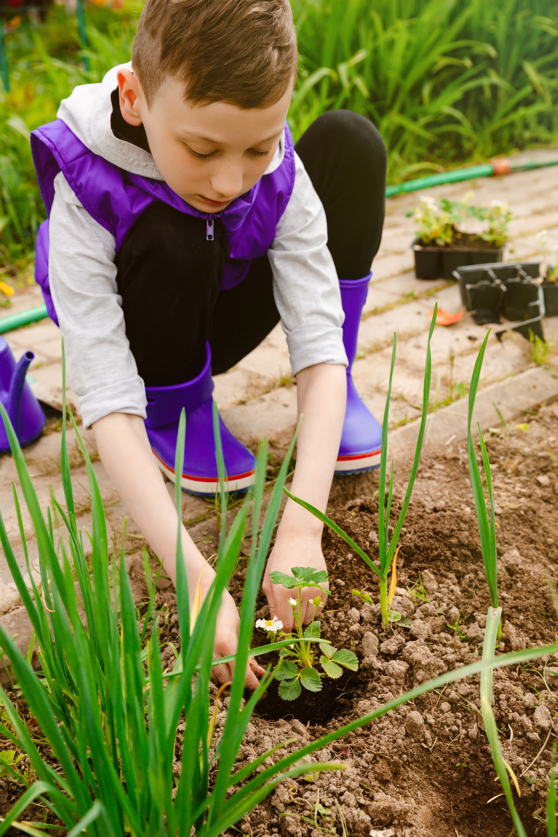 12 Eco-Friendly Business Ideas Kids Can Start Today